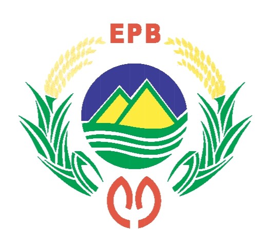 Upload Image